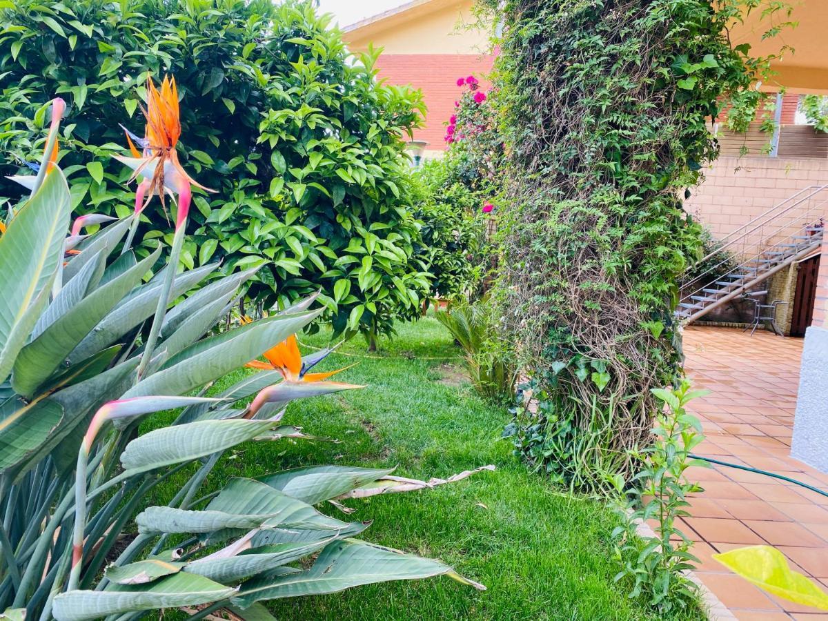 Apartamento Mar y Montaña Argentona Exterior foto