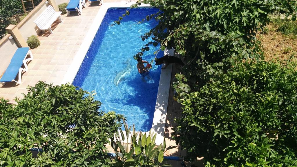 Apartamento Mar y Montaña Argentona Exterior foto