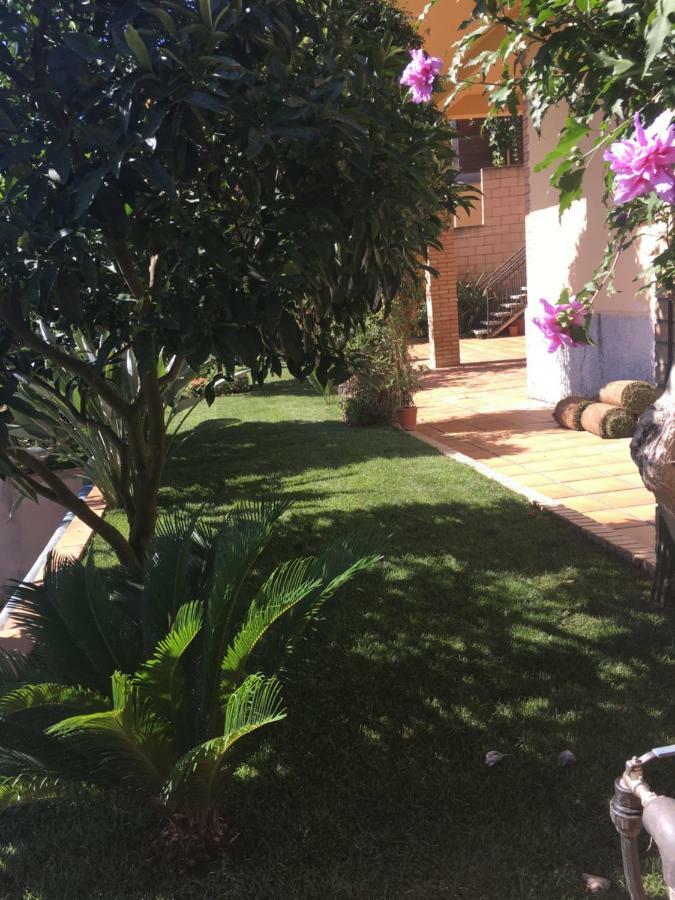 Apartamento Mar y Montaña Argentona Exterior foto