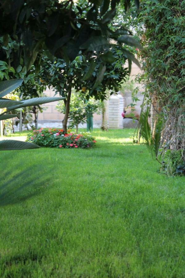 Apartamento Mar y Montaña Argentona Exterior foto